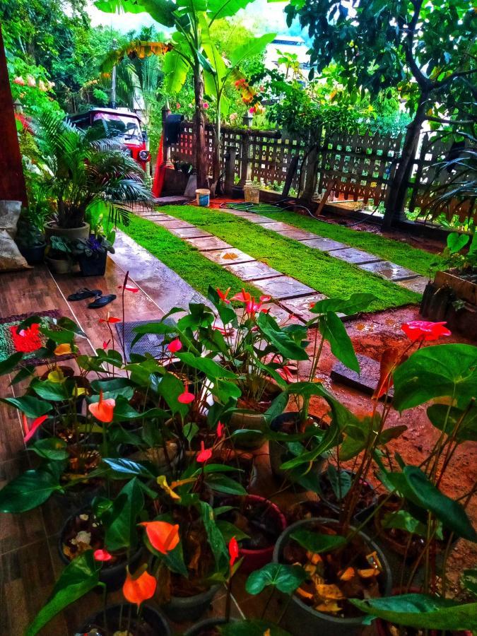 Maleesha Homestay Ella Exteriér fotografie