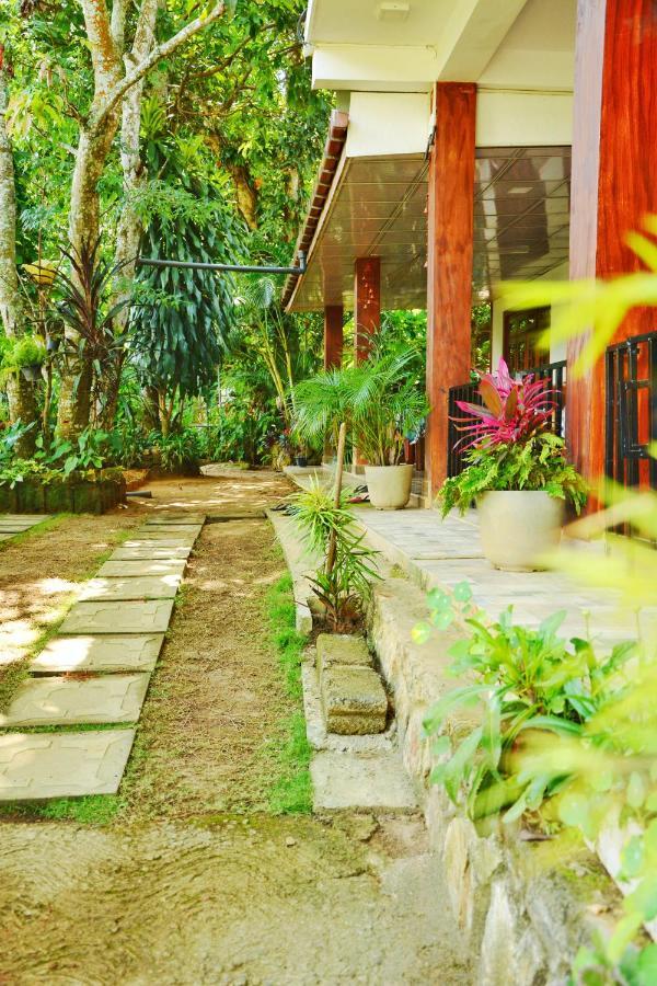 Maleesha Homestay Ella Exteriér fotografie